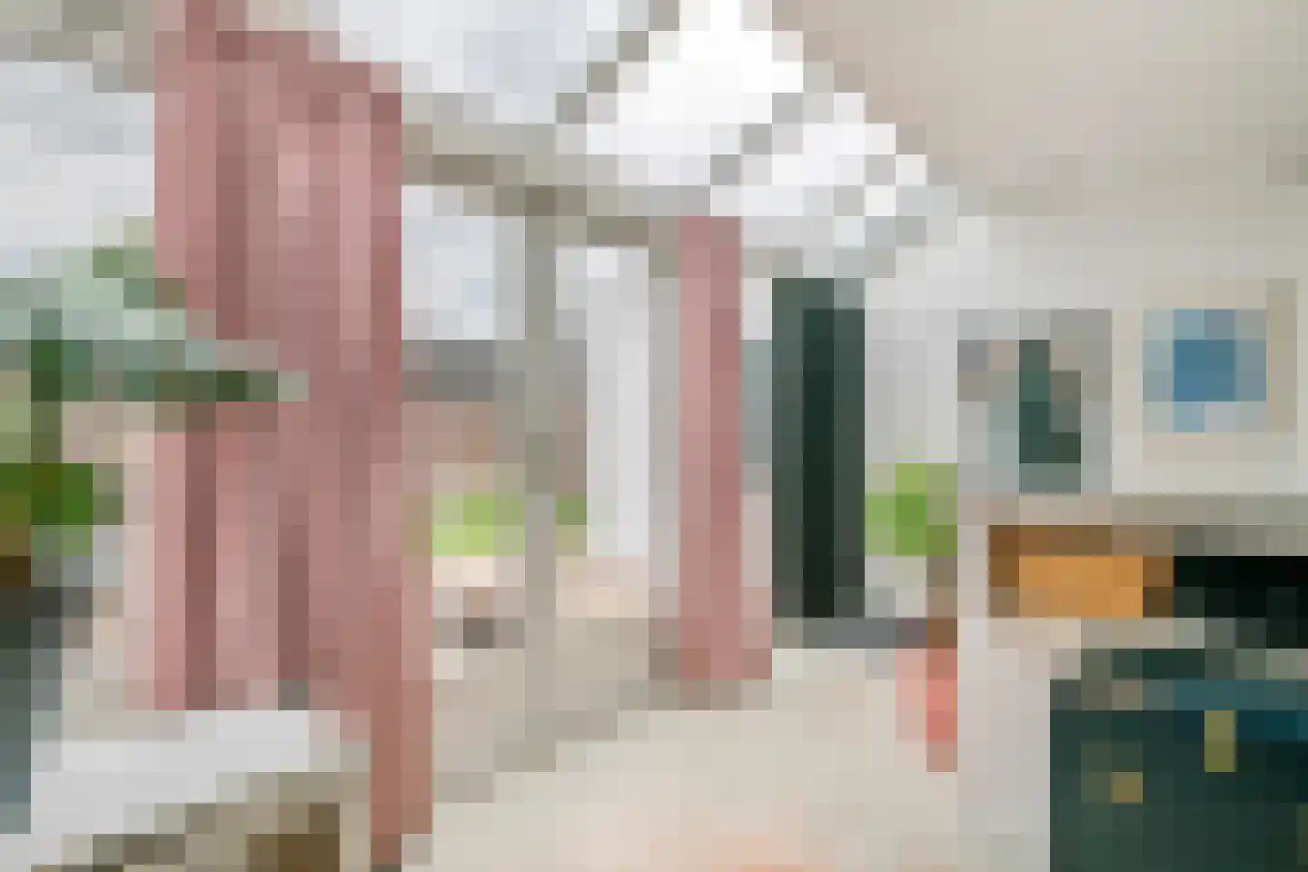 Begoniastraat 12 Tiel thumbnail 10