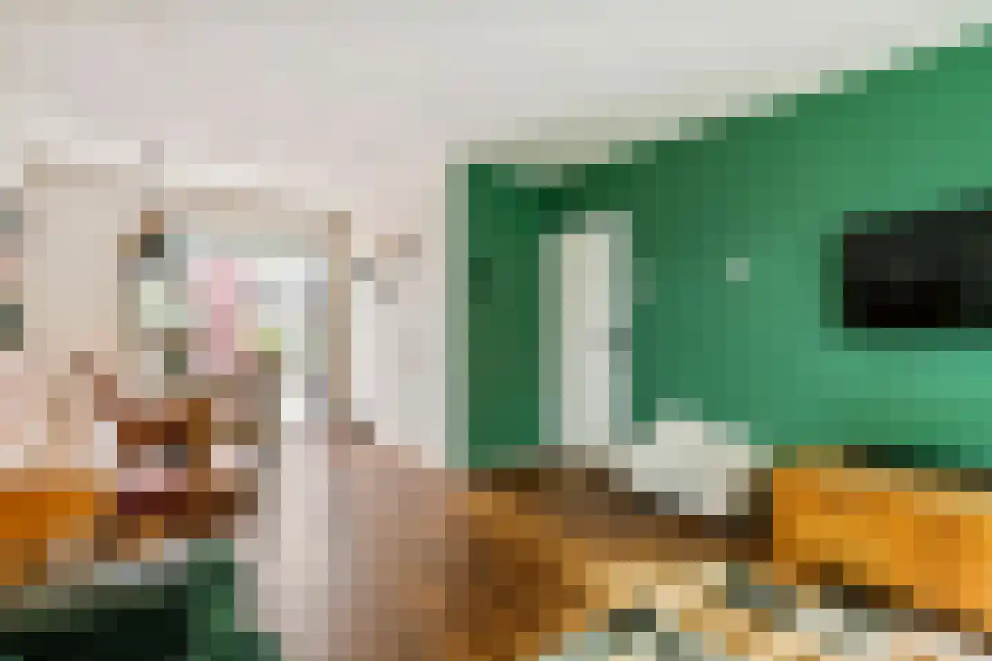 Begoniastraat 12 Tiel thumbnail 7