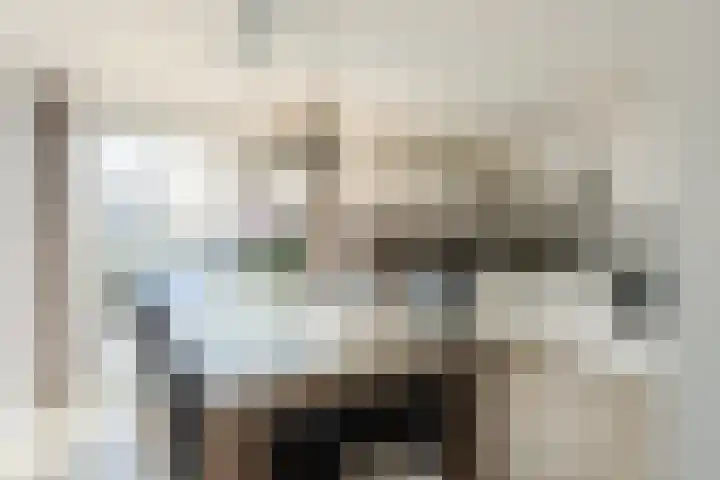 Begoniastraat 12 Veghel thumbnail 13
