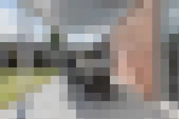 Begoniastraat 12 Veghel thumbnail 36