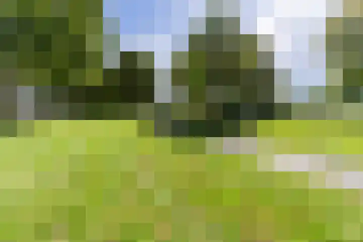 Begoniastraat 12 Veghel thumbnail 42