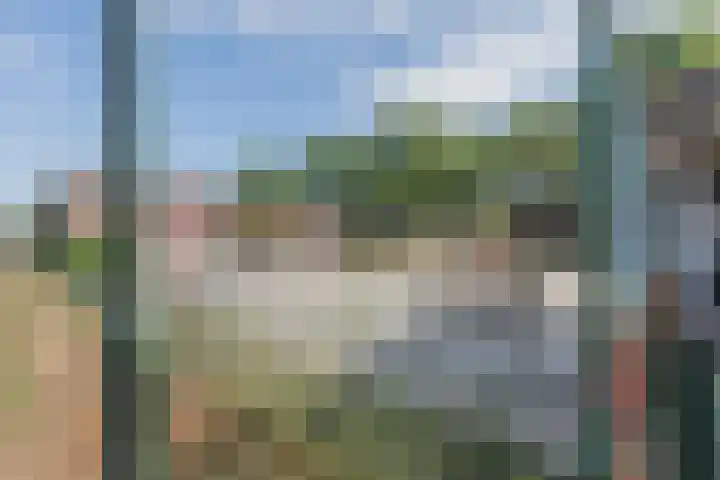 Begoniastraat 12 Veghel thumbnail 43