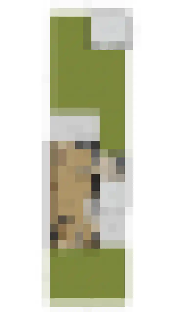 Begoniastraat 12 Veghel thumbnail 47