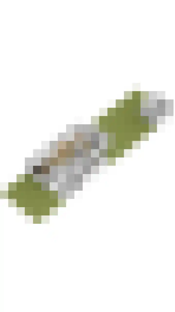 Begoniastraat 12 Veghel thumbnail 48