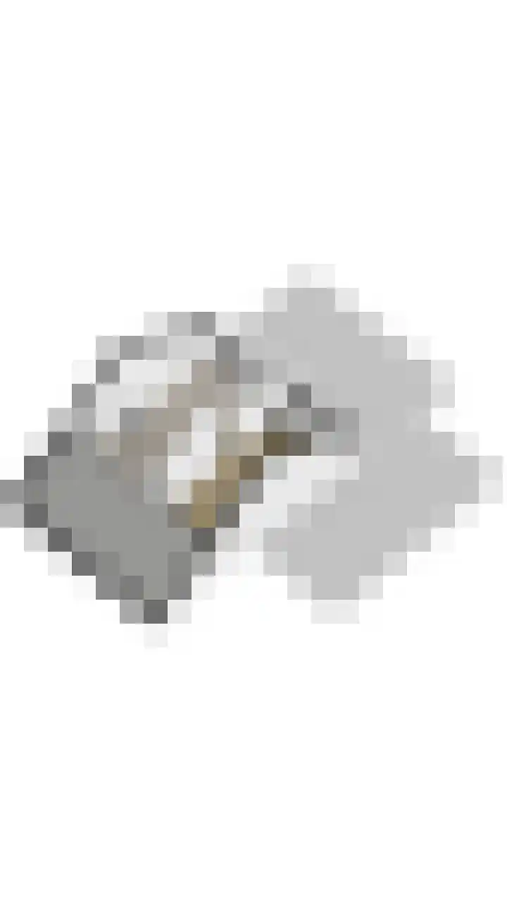 Begoniastraat 12 Veghel thumbnail 54