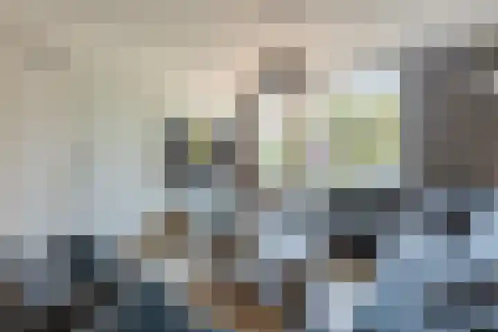 Begoniastraat 12 Veghel thumbnail 9