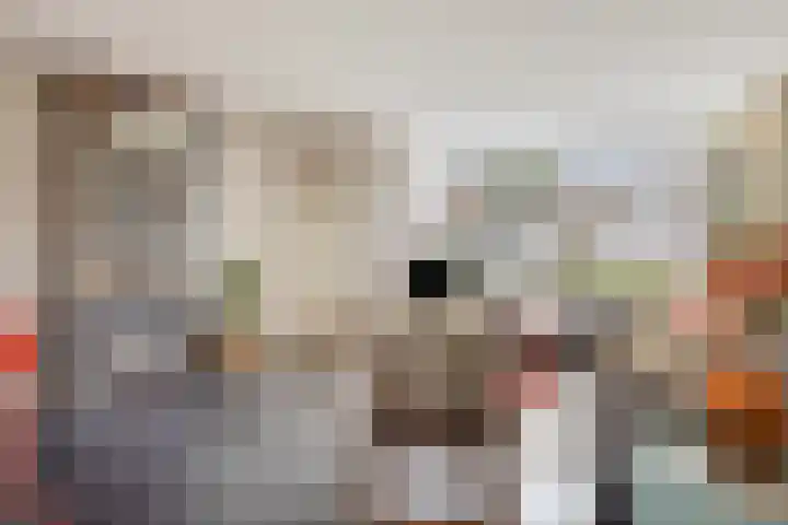 Begoniastraat 13 Schijndel thumbnail 10