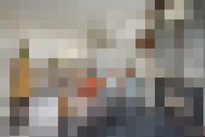 Begoniastraat 13 Schijndel thumbnail 12
