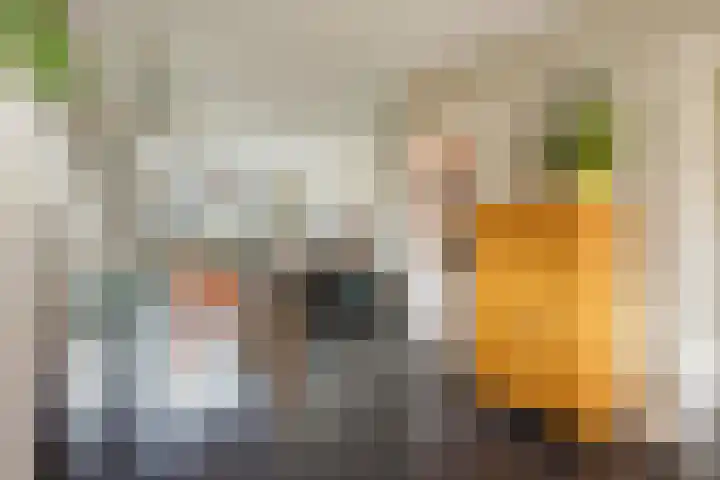 Begoniastraat 13 Schijndel thumbnail 13