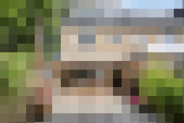 Begoniastraat 13 Schijndel thumbnail 29