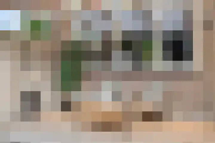 Begoniastraat 13 Schijndel thumbnail 30