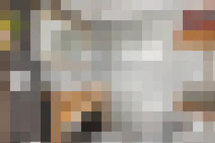 Begoniastraat 13 Schijndel thumbnail 4