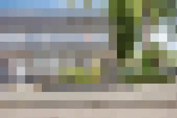 Begoniastraat 13 Schijndel thumbnail 5