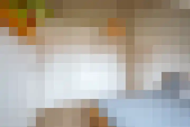 Begoniastraat 14 A Amsterdam thumbnail 19
