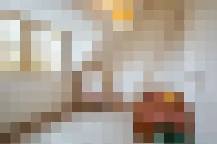Begoniastraat 14 A Amsterdam thumbnail 21