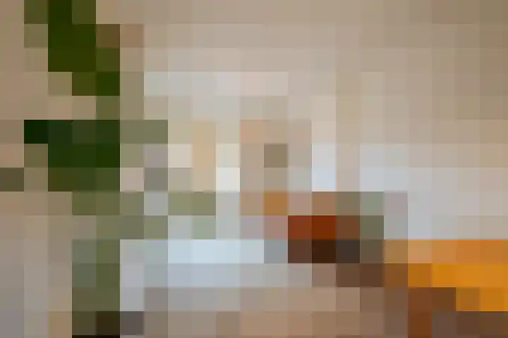 Begoniastraat 14 A Amsterdam thumbnail 6