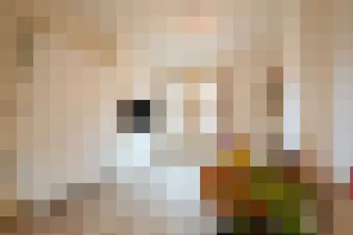Begoniastraat 14 A Amsterdam thumbnail 7