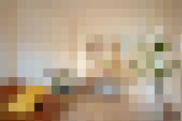 Begoniastraat 14 A Amsterdam thumbnail 8