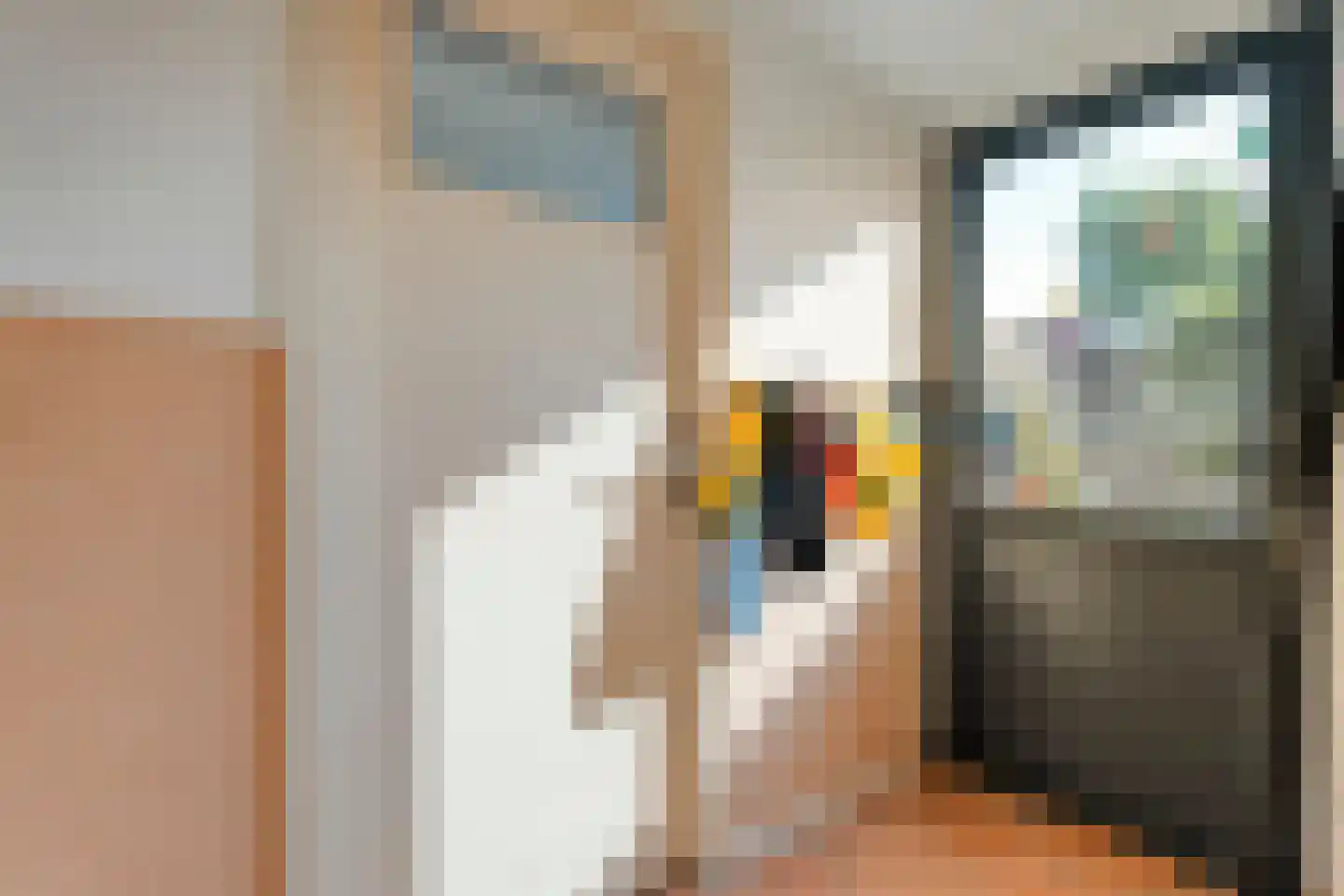 Begoniastraat 14 Almelo thumbnail 13