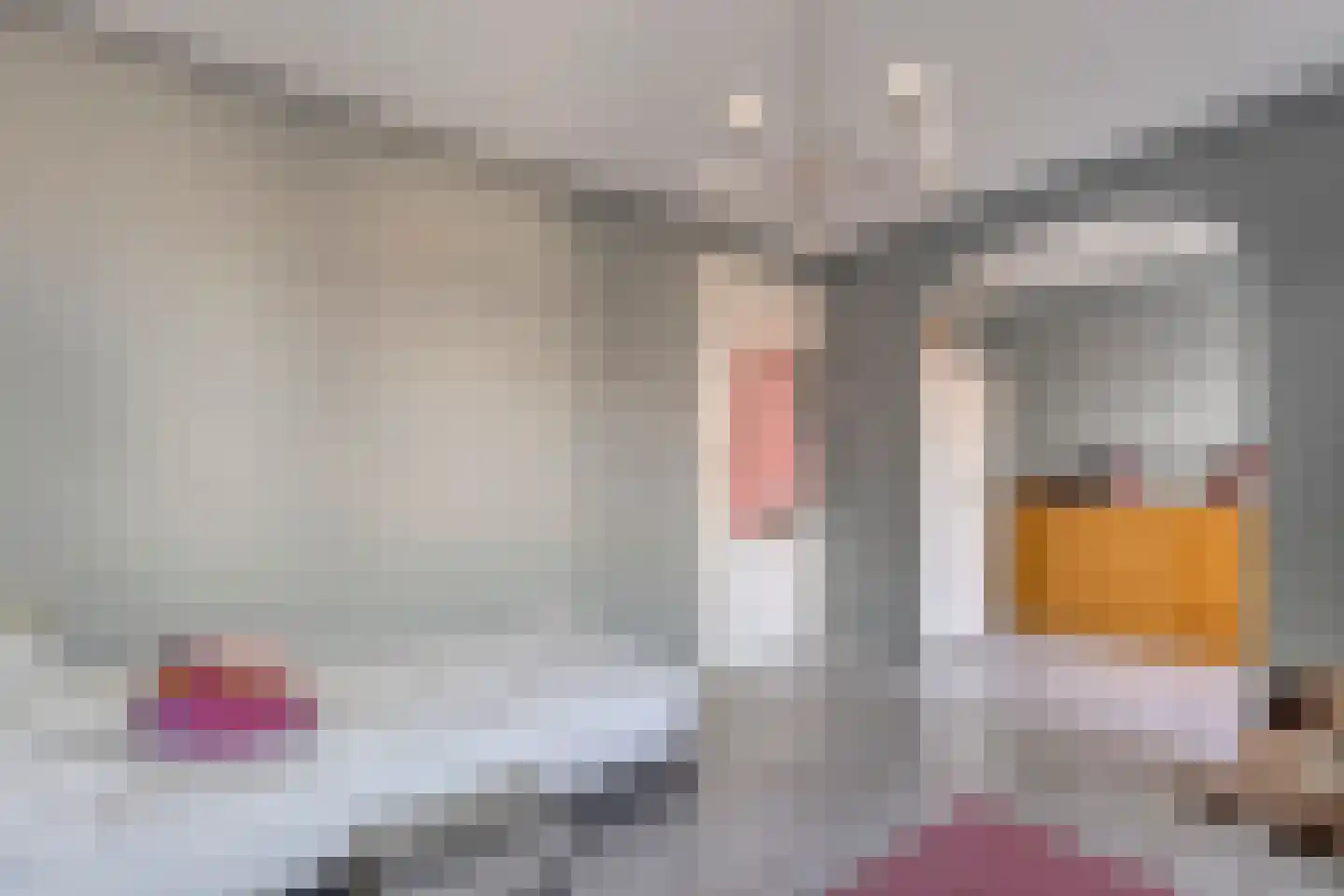 Begoniastraat 14 Almelo thumbnail 16