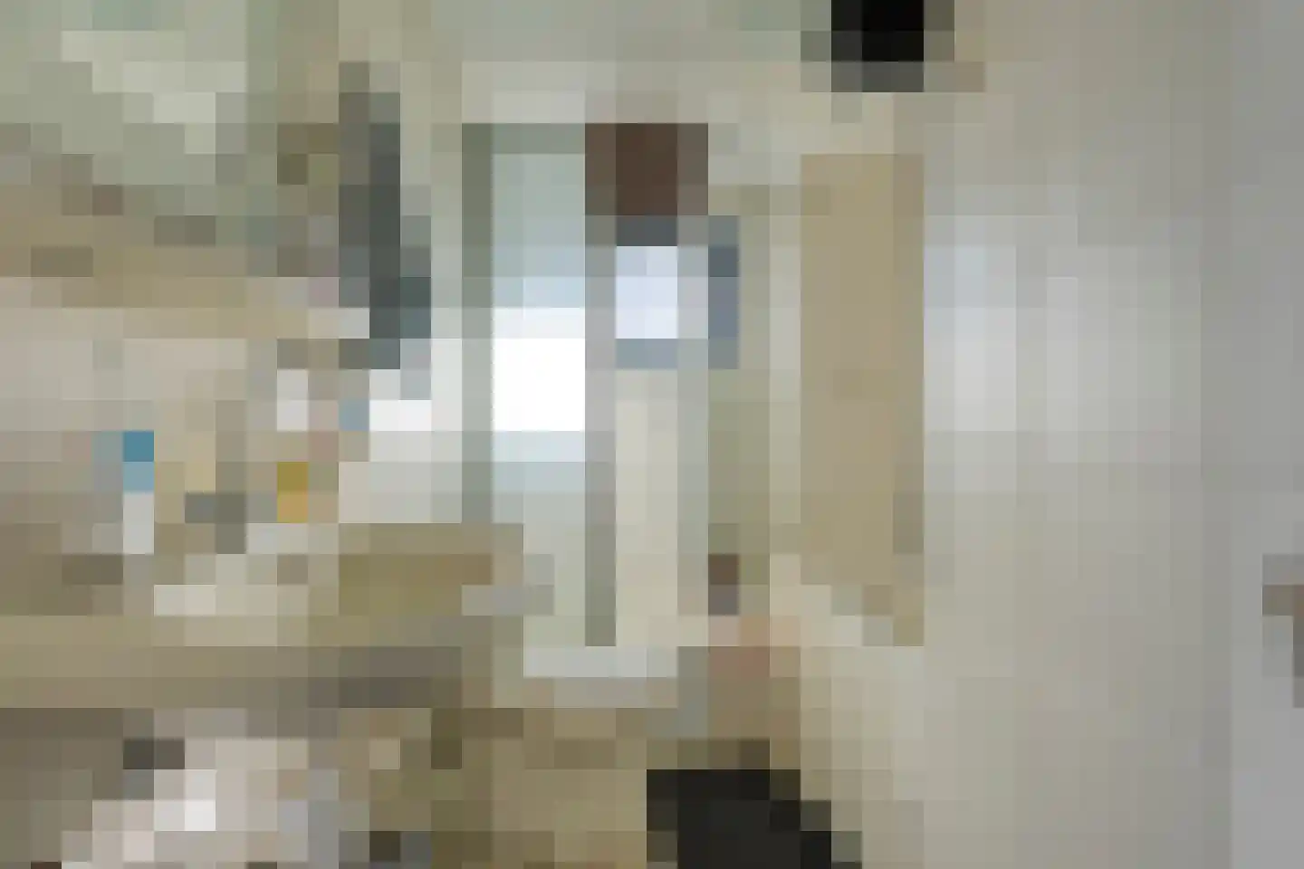 Begoniastraat 14 Almelo thumbnail 20