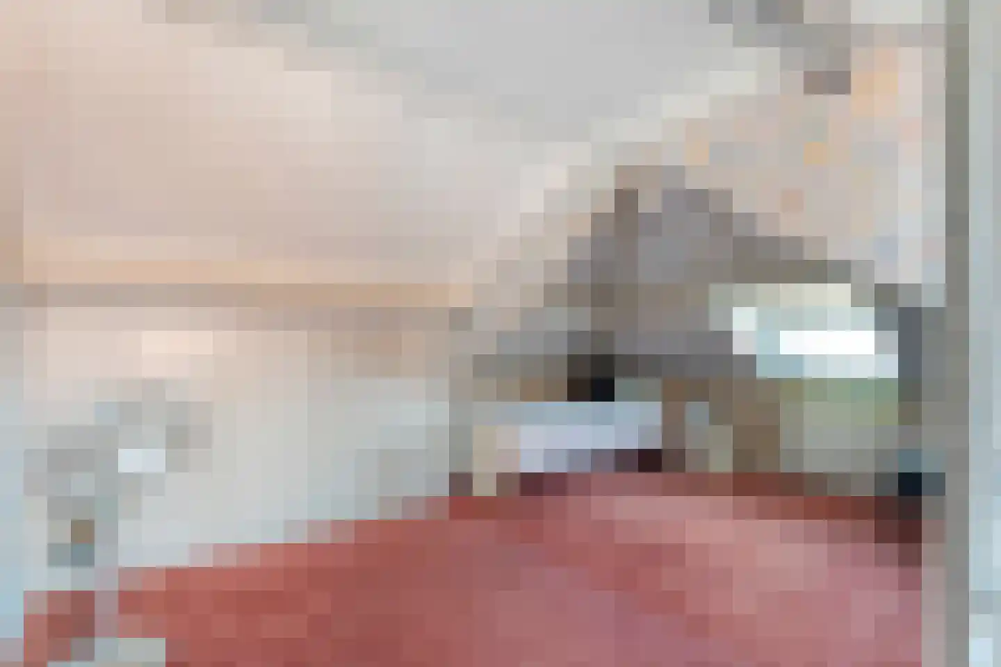 Begoniastraat 14 Almelo thumbnail 22