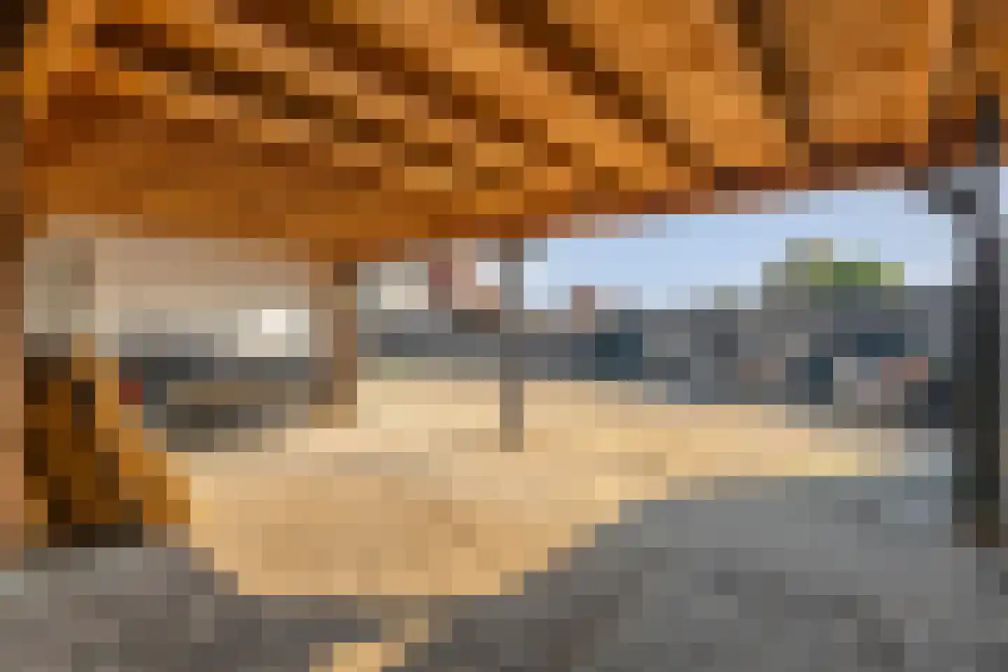 Begoniastraat 14 Almelo thumbnail 36