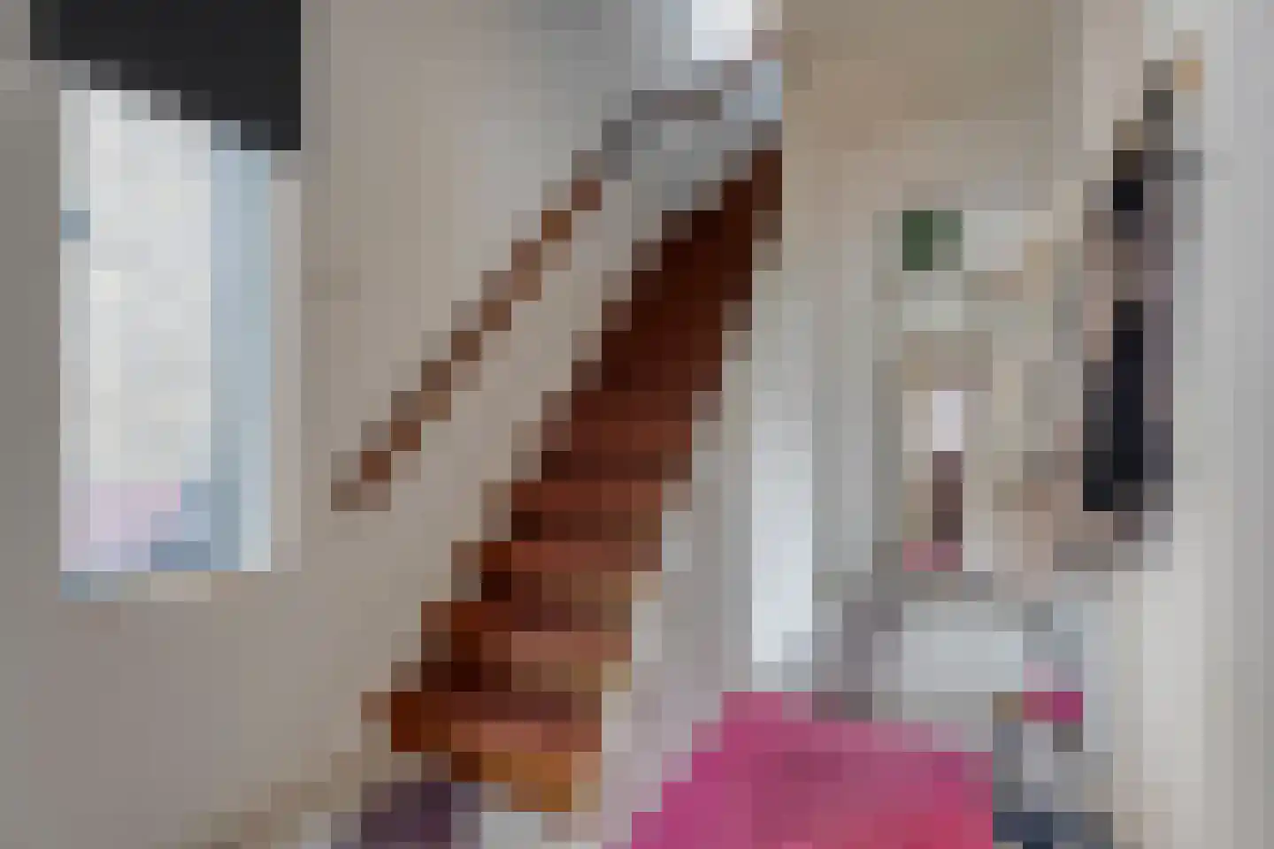 Begoniastraat 14 Almelo thumbnail 6
