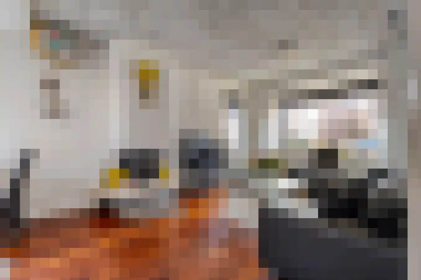 Begoniastraat 14 Almelo thumbnail 7