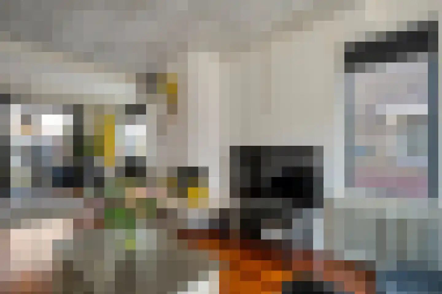 Begoniastraat 14 Almelo thumbnail 8