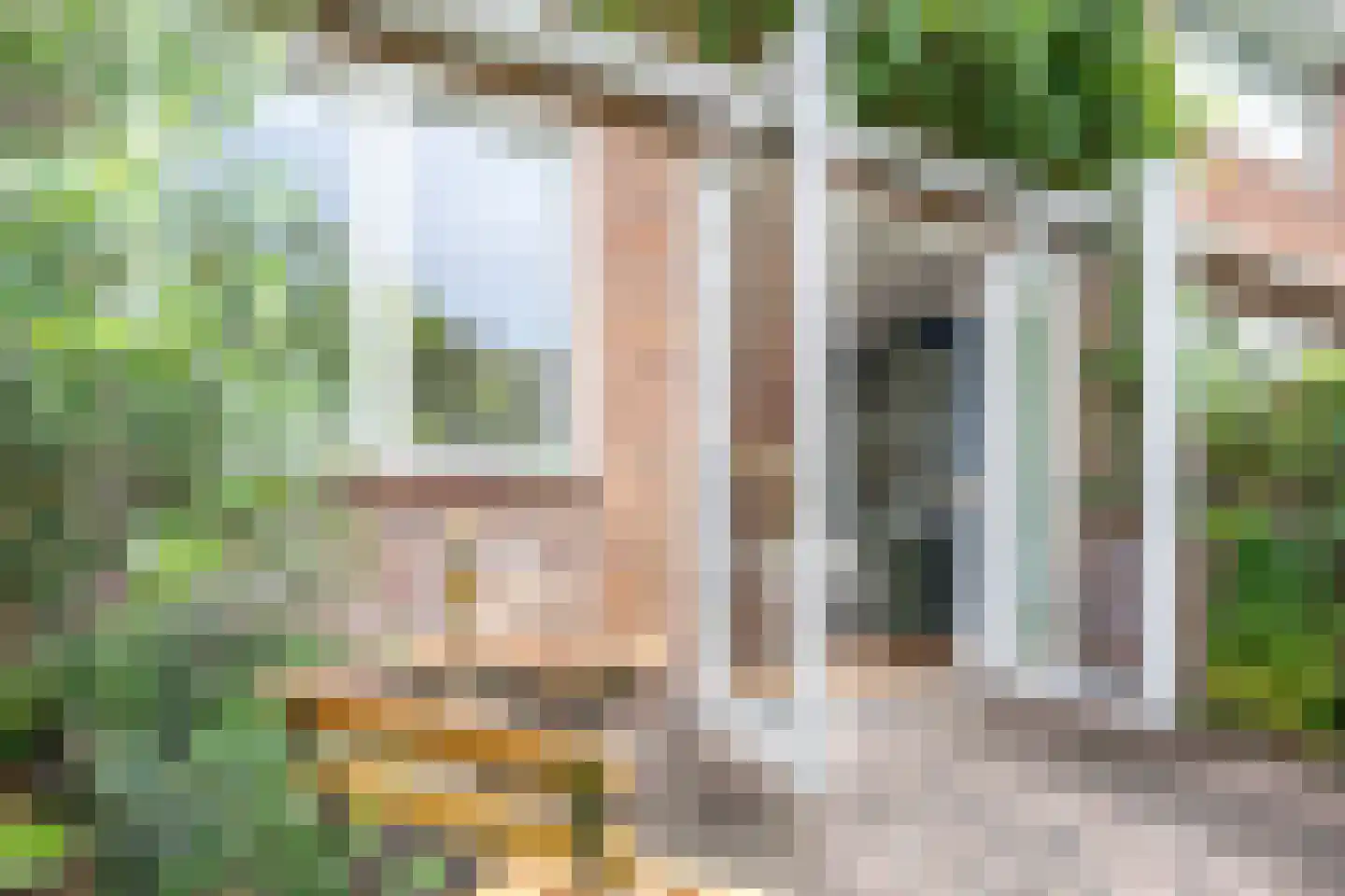 Begoniastraat 14 Utrecht thumbnail 18