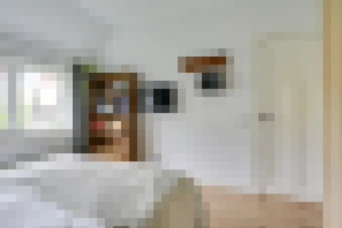 Begoniastraat 14 Utrecht thumbnail 38
