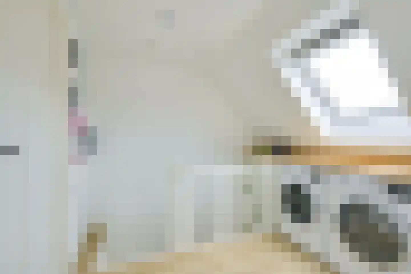 Begoniastraat 14 Utrecht thumbnail 43
