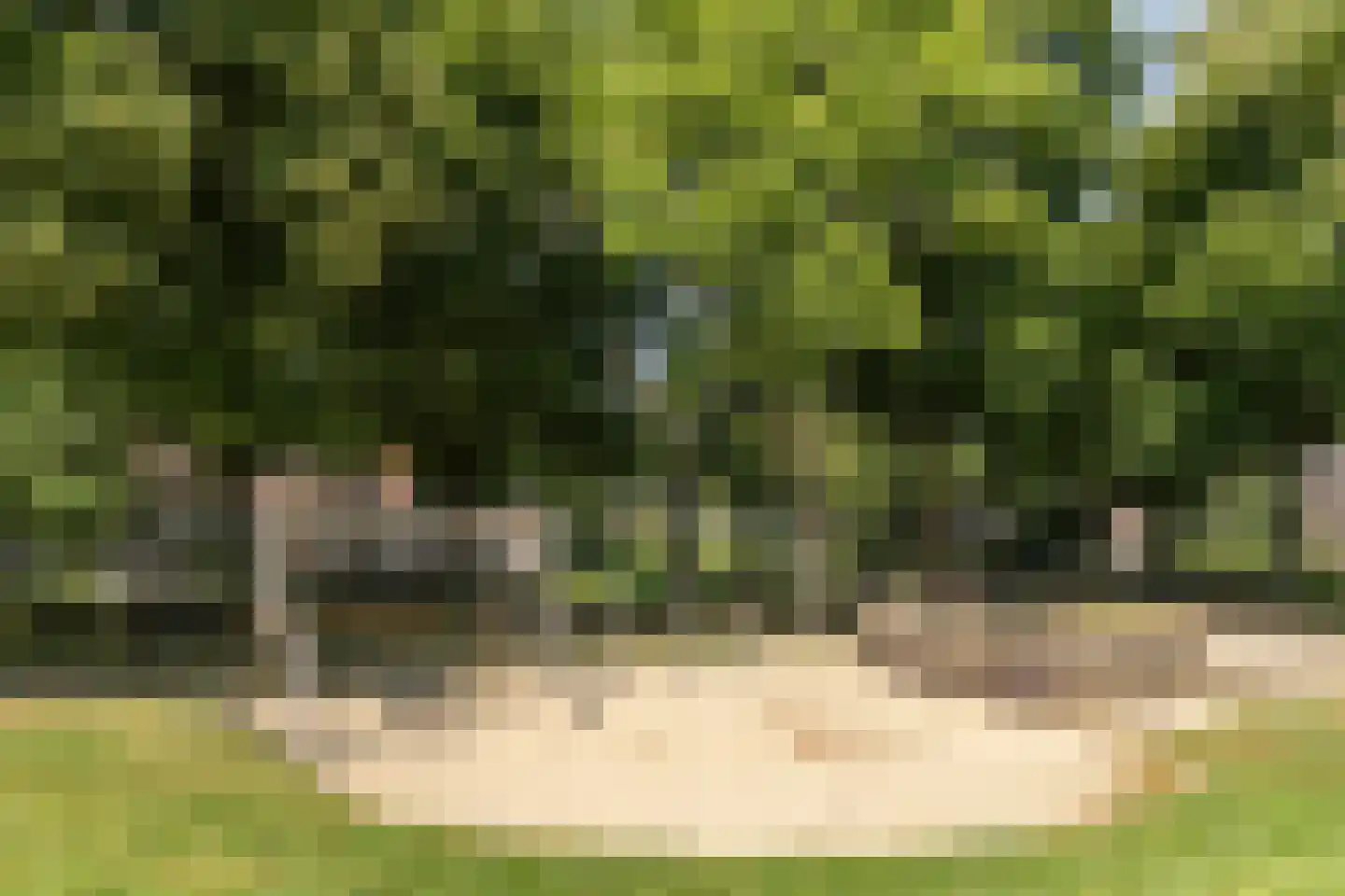 Begoniastraat 14 Utrecht thumbnail 50