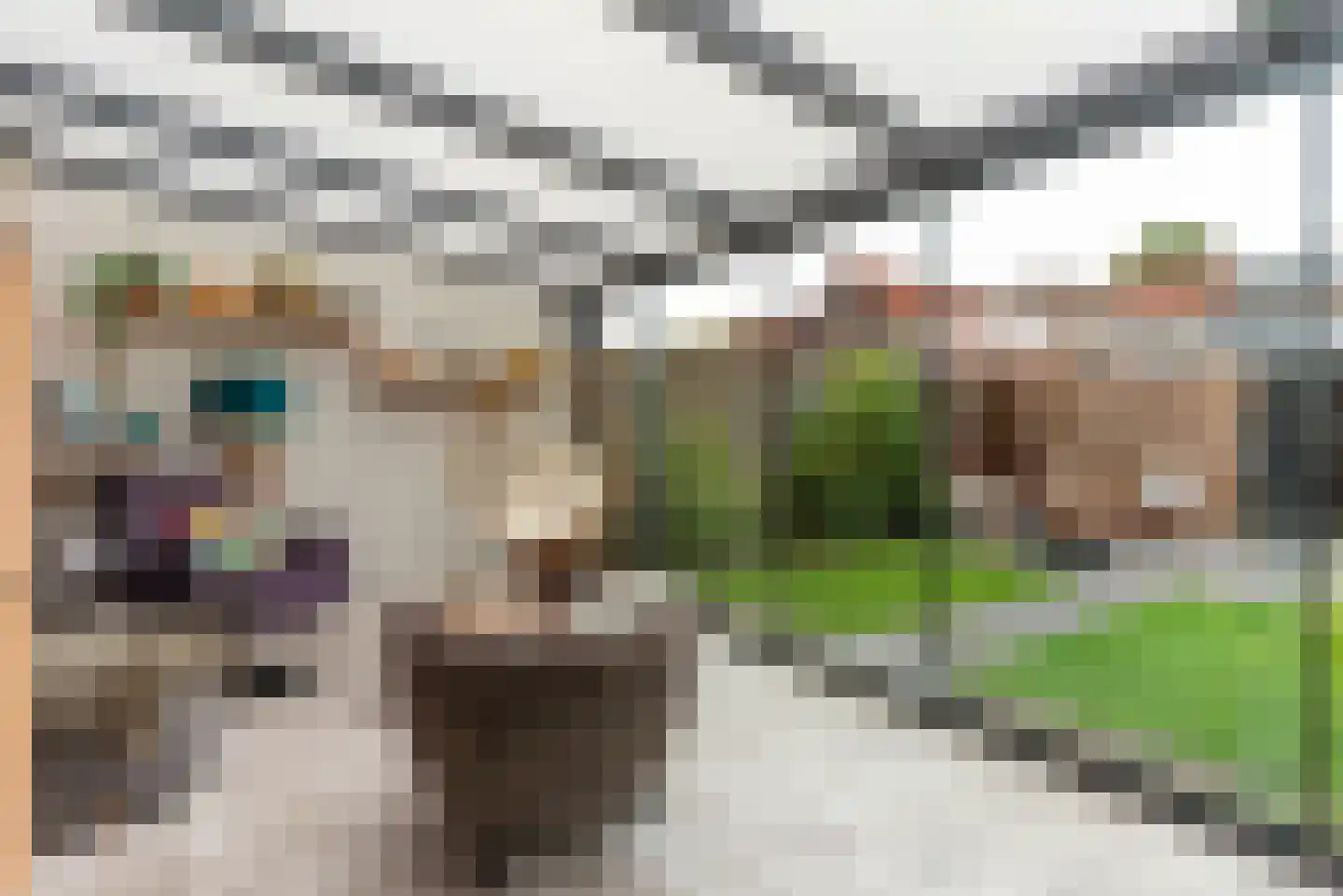 Begoniastraat 15 Baarn thumbnail 12