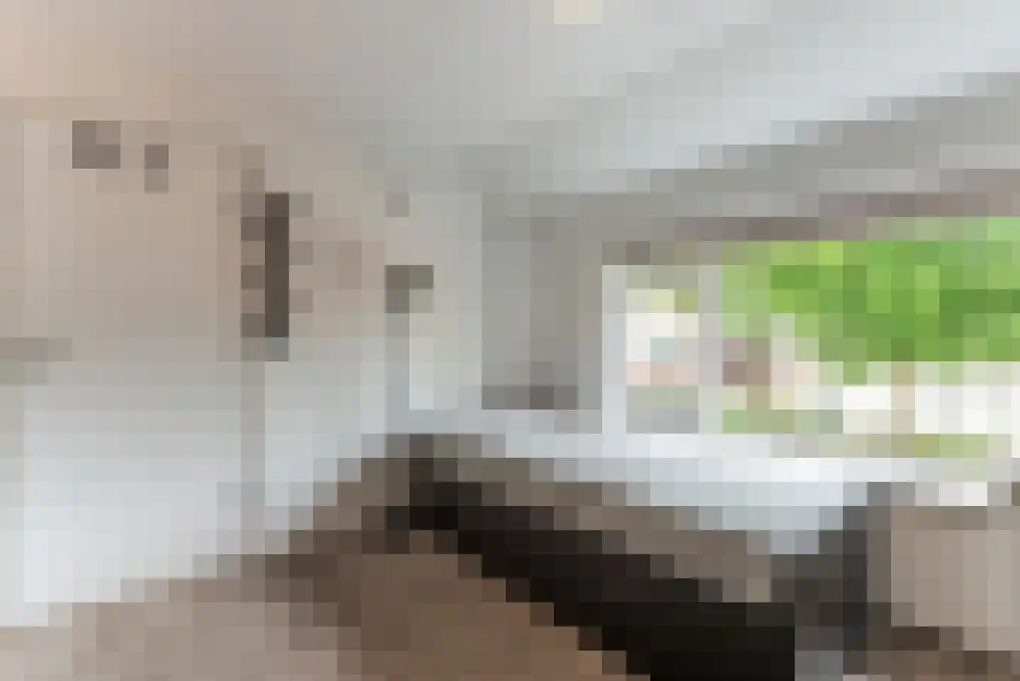 Begoniastraat 15 Baarn thumbnail 20