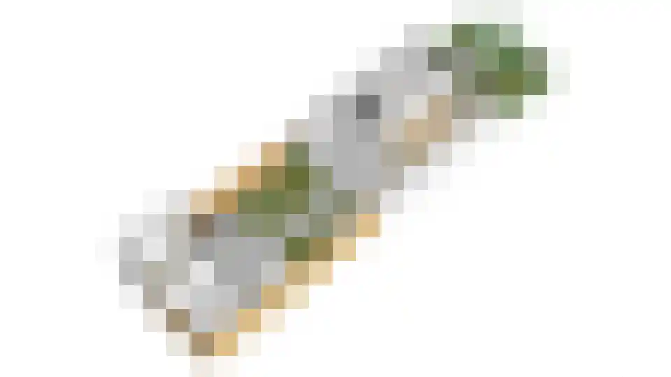 Begoniastraat 15 Baarn thumbnail 39