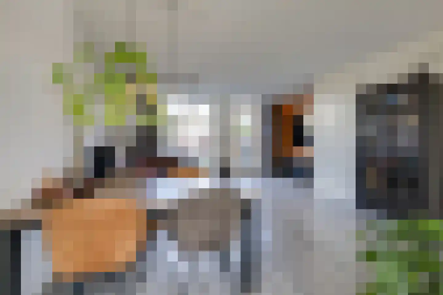 Begoniastraat 15 Doetinchem thumbnail 20