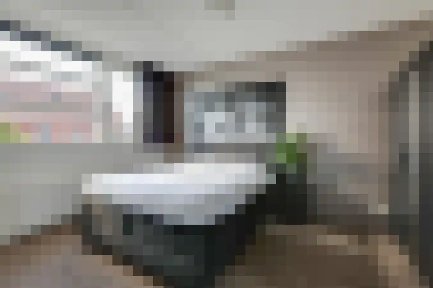 Begoniastraat 15 Doetinchem thumbnail 37