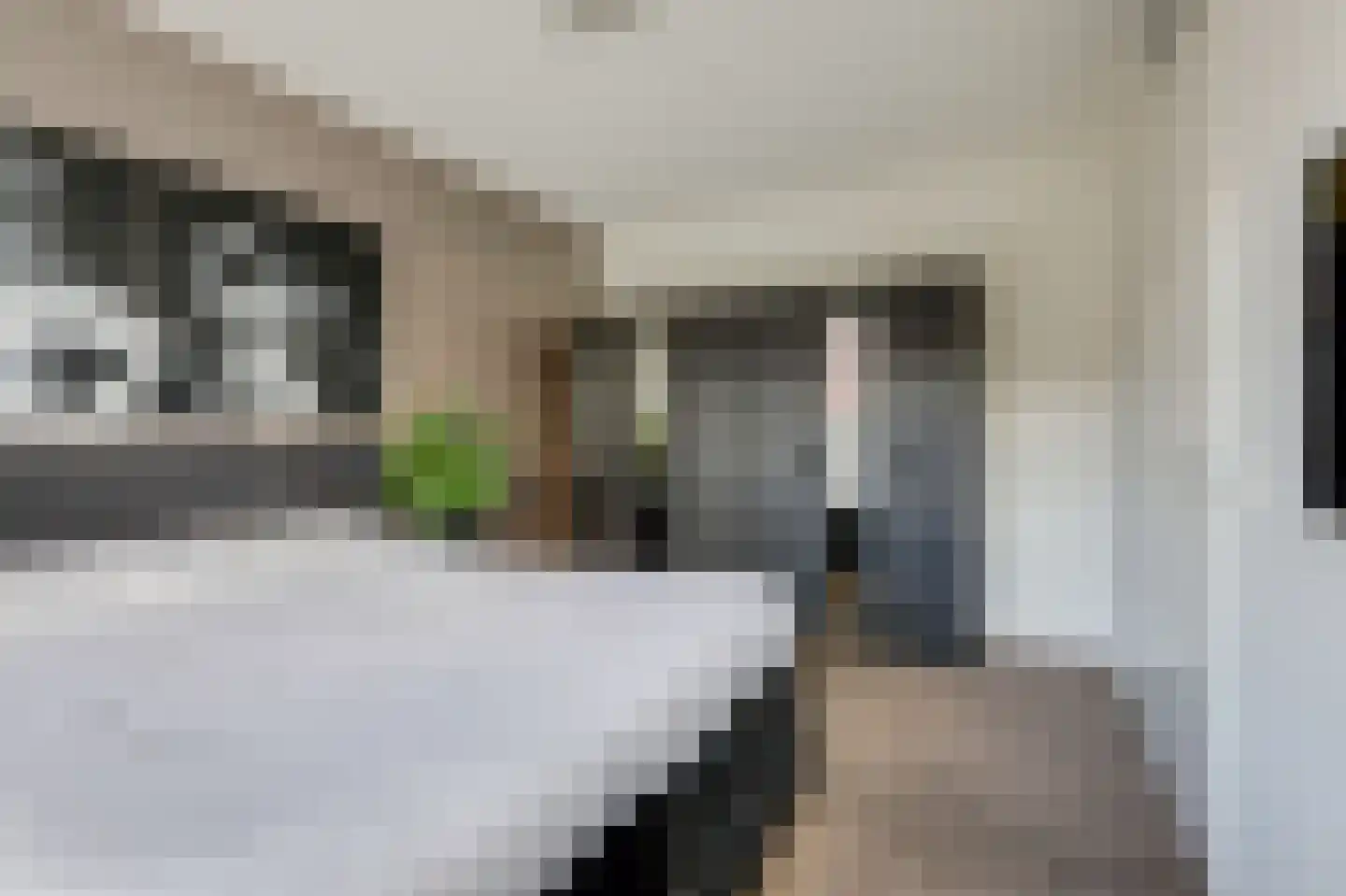 Begoniastraat 15 Doetinchem thumbnail 39