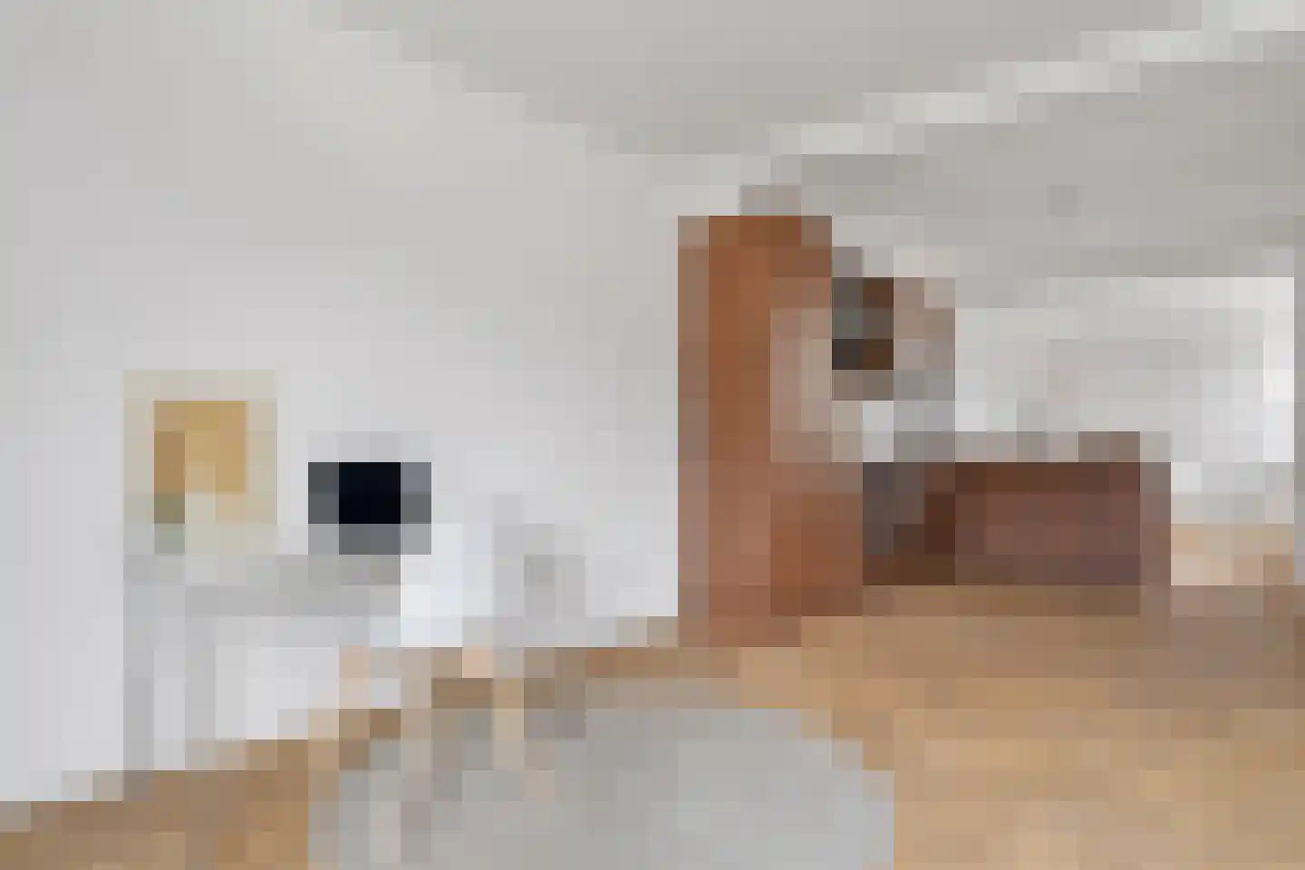 Begoniastraat 15 Losser thumbnail 11
