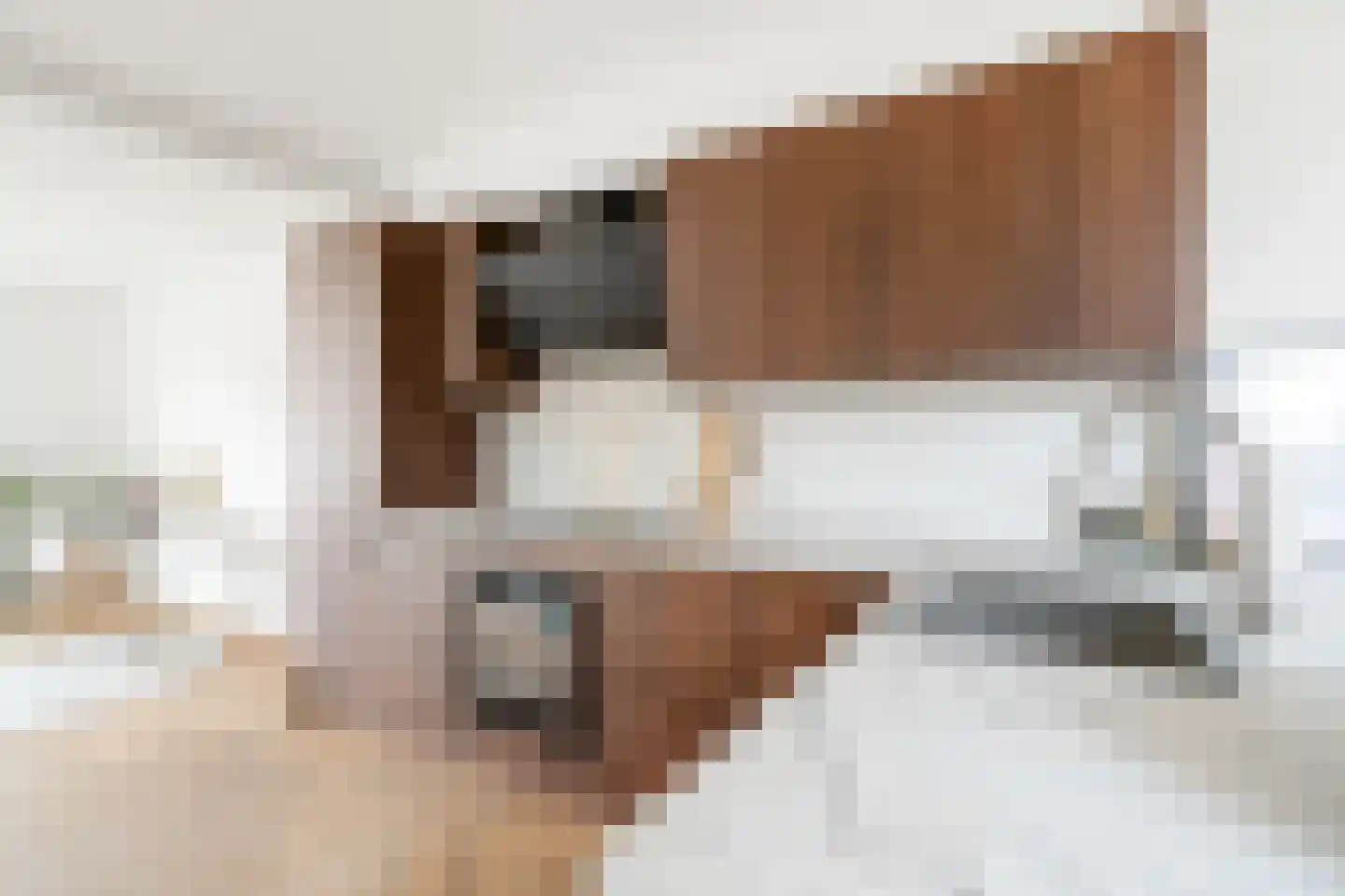 Begoniastraat 15 Losser thumbnail 12