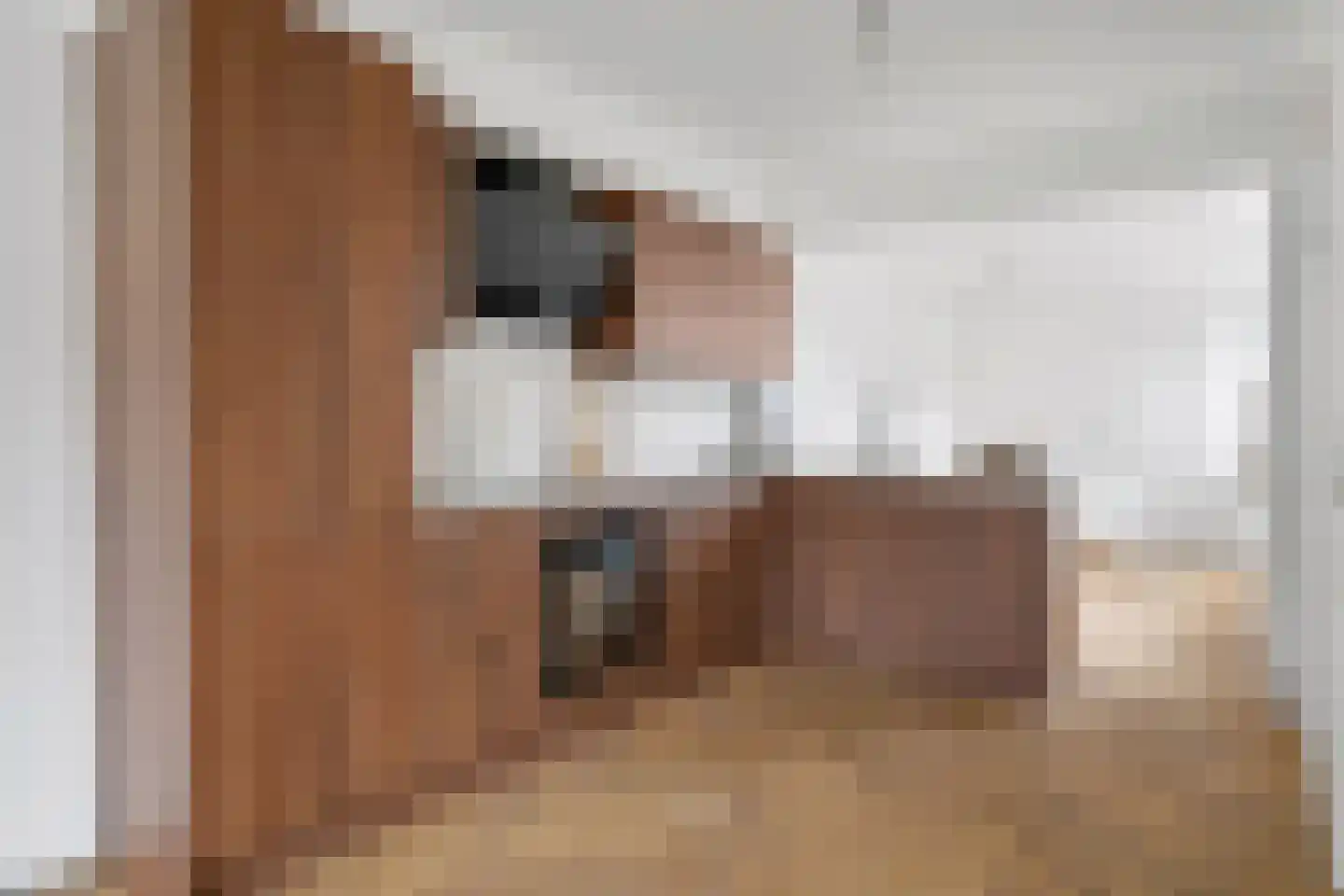 Begoniastraat 15 Losser thumbnail 13