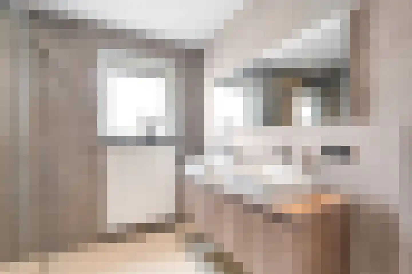 Begoniastraat 15 Losser thumbnail 25