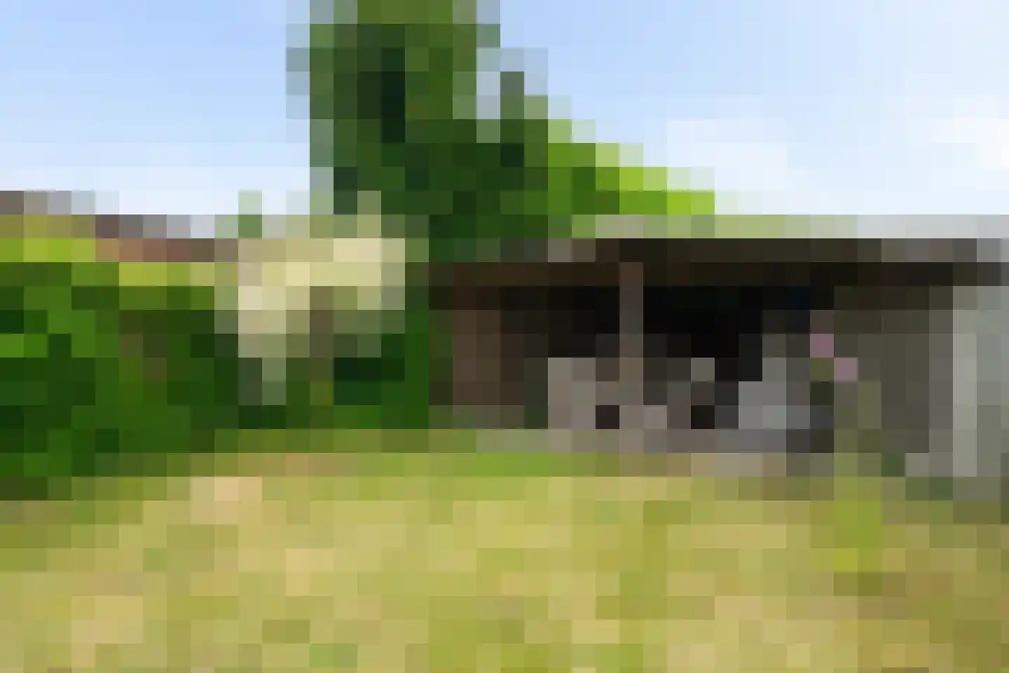 Begoniastraat 15 Losser thumbnail 38