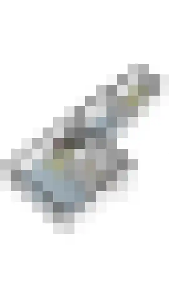 Begoniastraat 15 Losser thumbnail 46