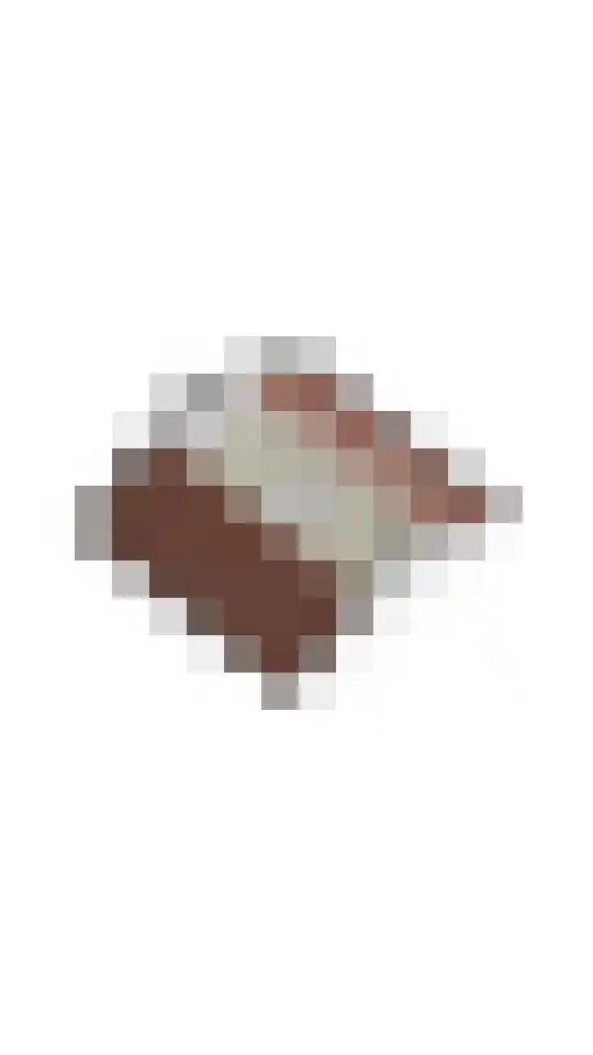 Begoniastraat 15 Losser thumbnail 48