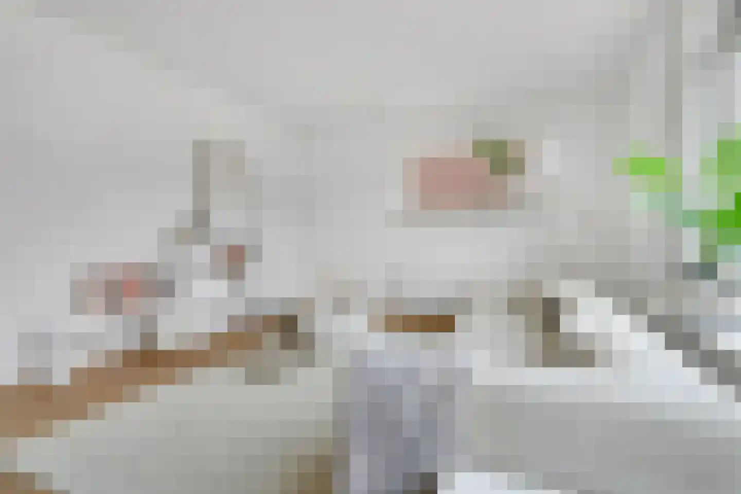 Begoniastraat 15 Losser thumbnail 7