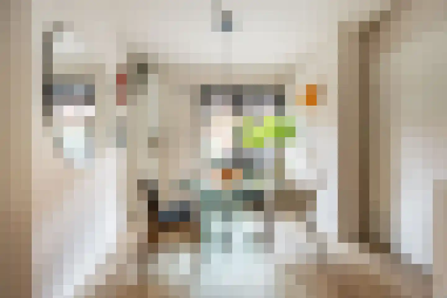 Begoniastraat 16 A Amsterdam thumbnail 10