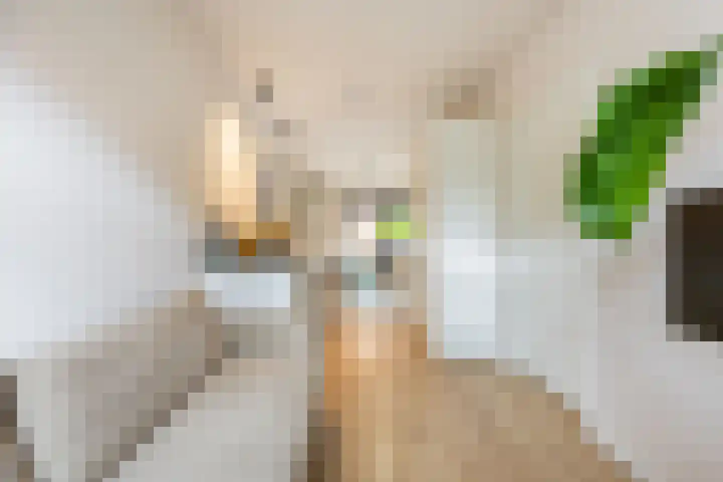 Begoniastraat 16 A Amsterdam thumbnail 16